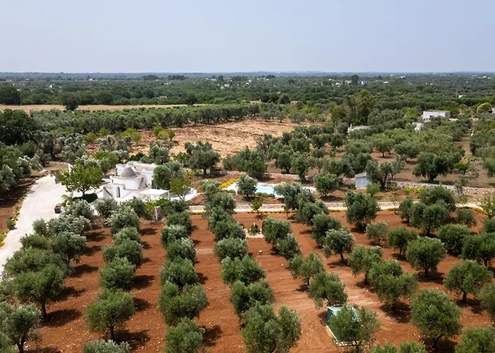Trullo Il Magnifico 奥斯图尼