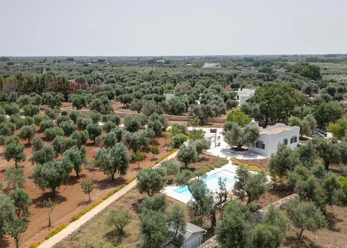 Trullo Il Magnifico *