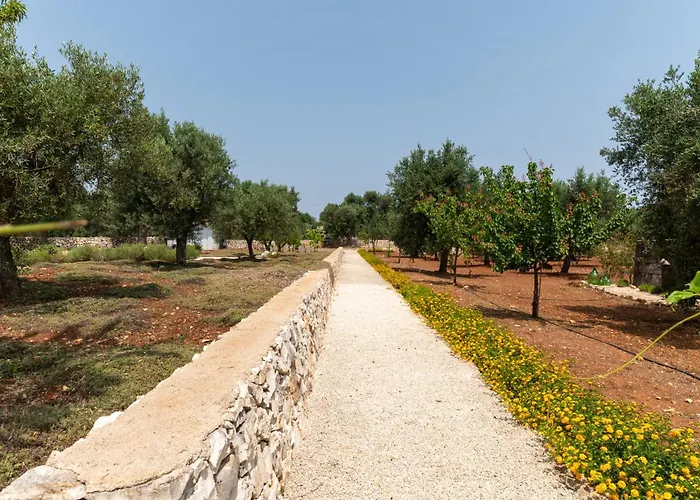Trullo Il Magnifico 奥斯图尼